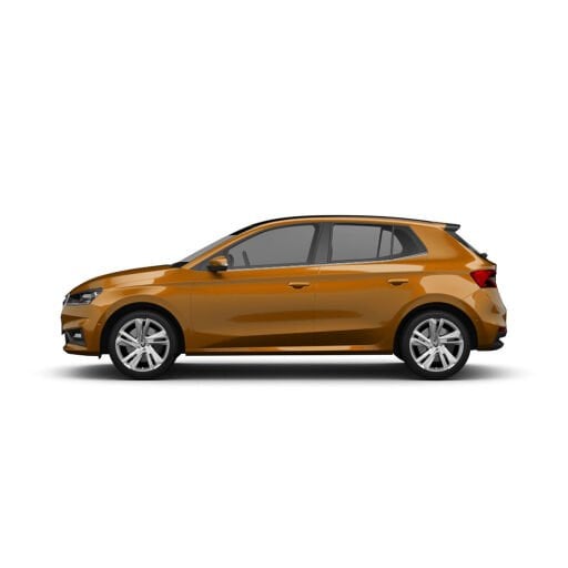 Fabia Ekran Koruyucular